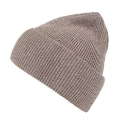 Lasessor Neulepipo Rilia