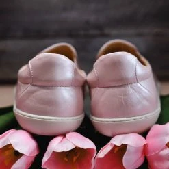 Rock Spring Paljasjalkakengät Harvard Casiopea Rose 7 Rock Spring Paljasjalkakengät Harvard Casiopea Rose -Tamaris sales 2001003832795 2